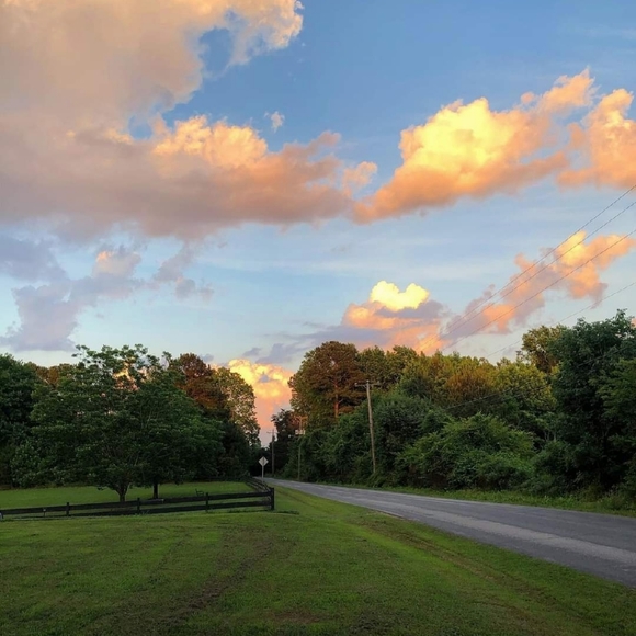 Meet your Posher, Meghan - Picture 2 of 2